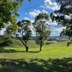image_67527681